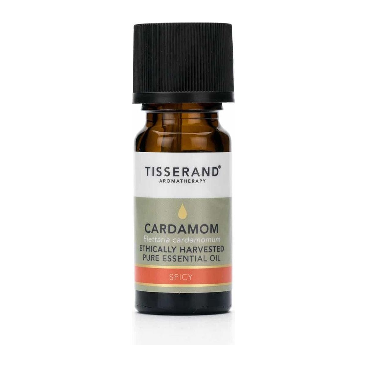 Tisserand Aromatherapy - Cardamom Ethically Harvested Oil (30