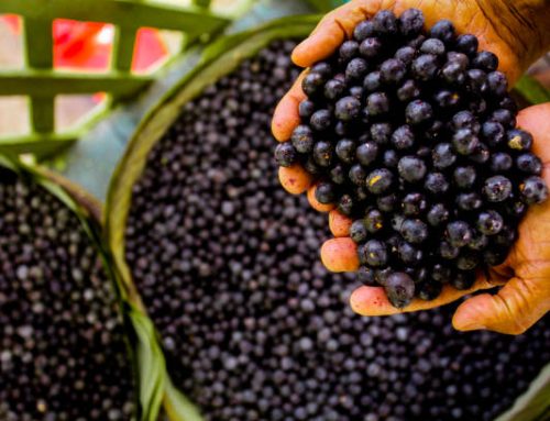Acai: Unlocking the Health Benefits of this Miracle Superfood