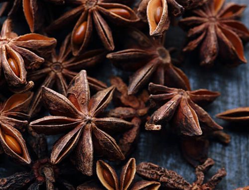 Discover the Lively Flavor and Health Benefits of Anise