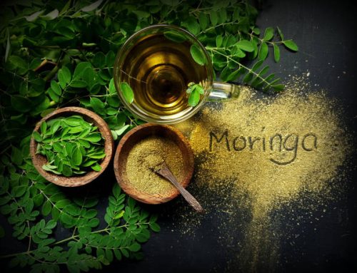 Unlocking the Superfood Powers of Moringa