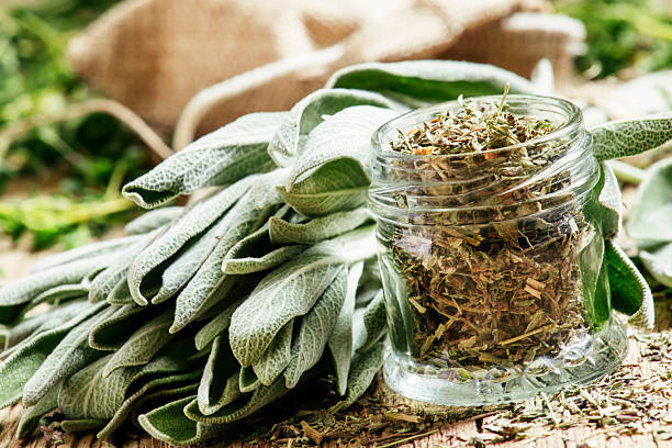 Sage Extract