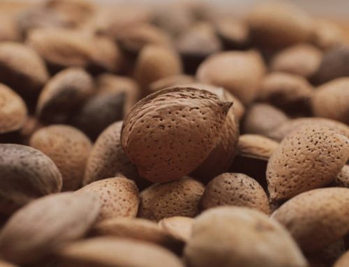 Discover the Wonders of Sweet Almond: Health and Happiness in a Nutshell