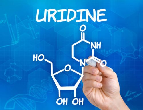 Unlock Your Brain’s Potential with Uridine: The Ultimate Memory Supplement