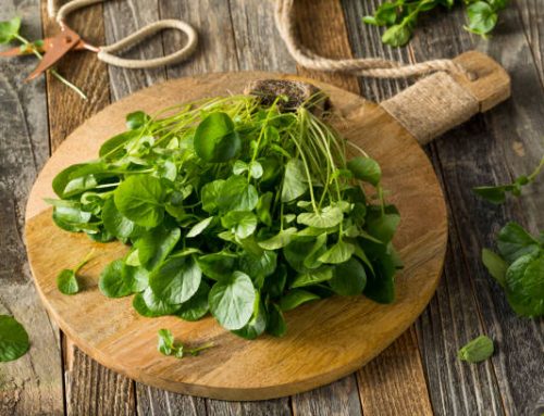 Revitalize Your Health with Watercress!